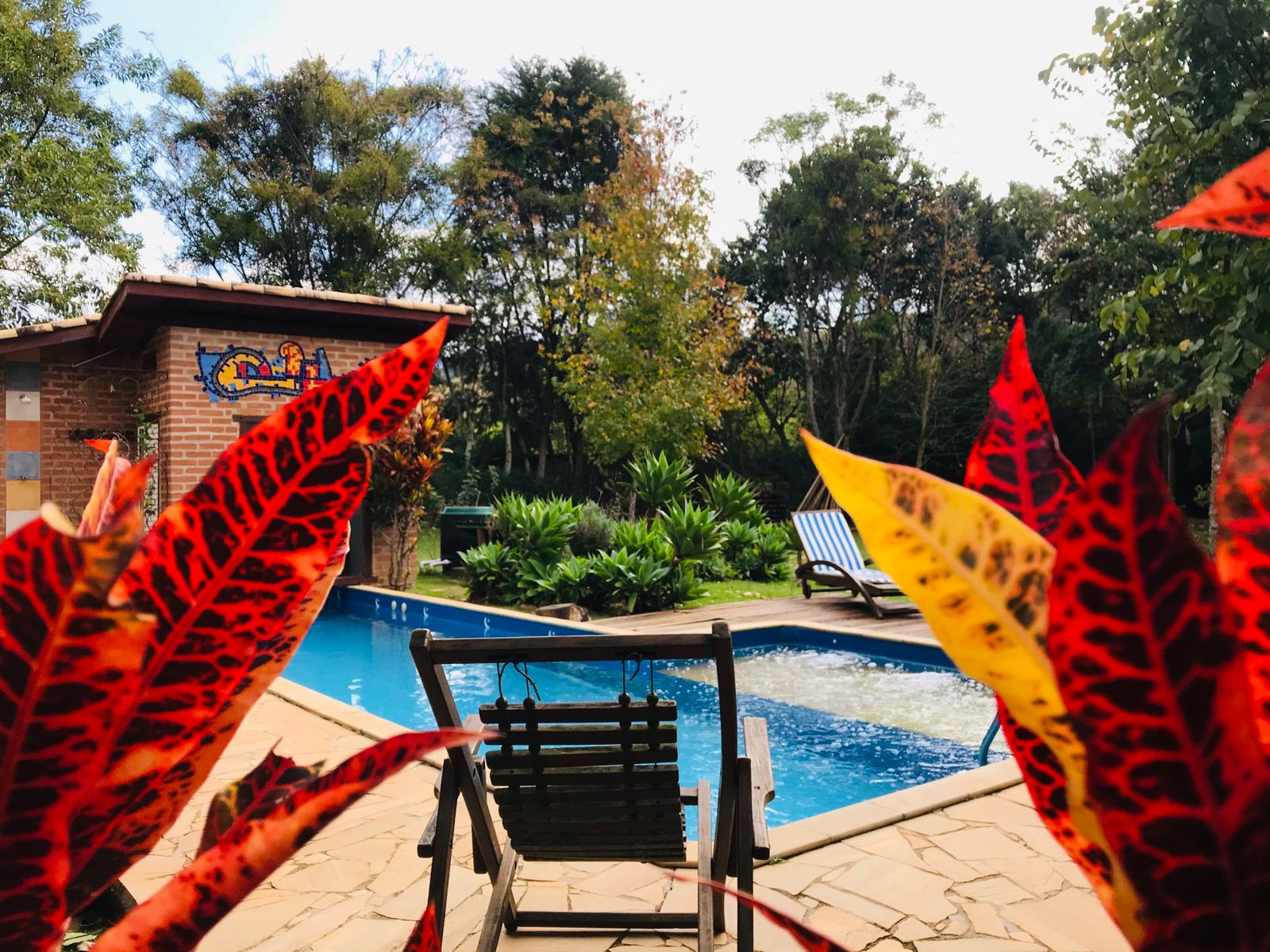 Piscina da pousada vista entre folhas vermelhas de cróton, com espreguiçadeira de madeira no deck e a mata da Mantiqueira ao fundo