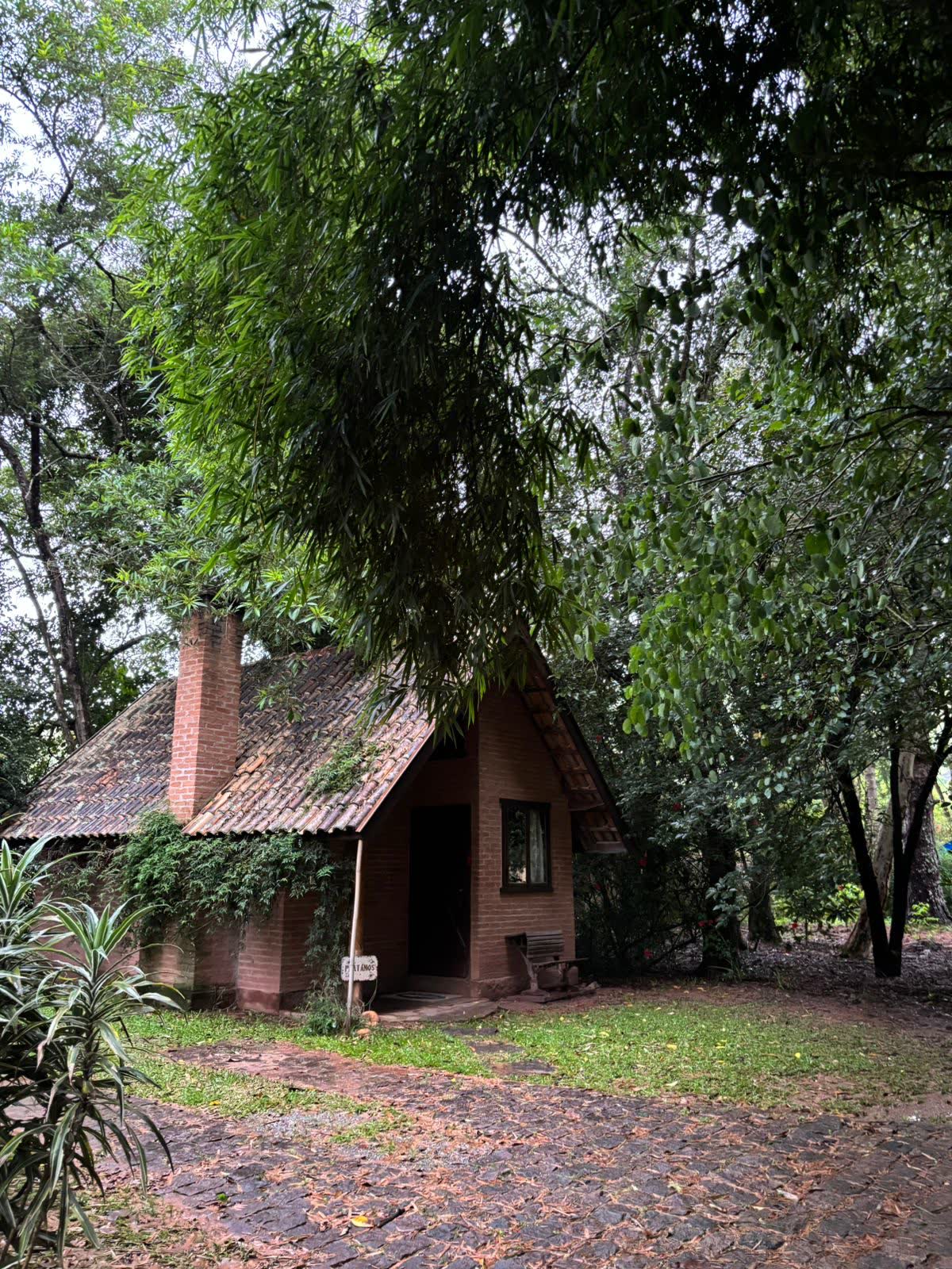 Fachada do Chalé Platanus entre as árvores, com a chaminé de tijolo